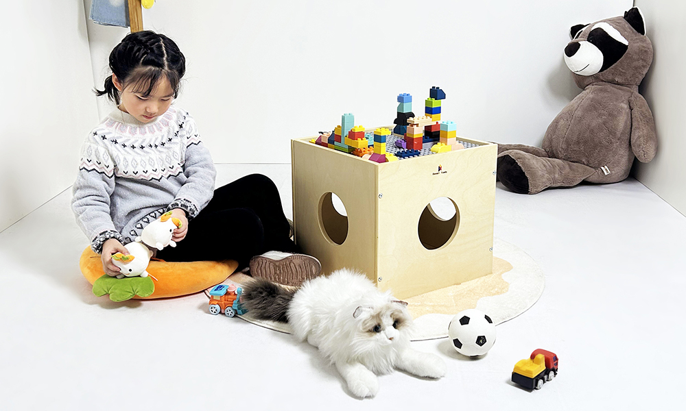 2025_01_20_17_23_IMG_3204 - 1000-600.jpg